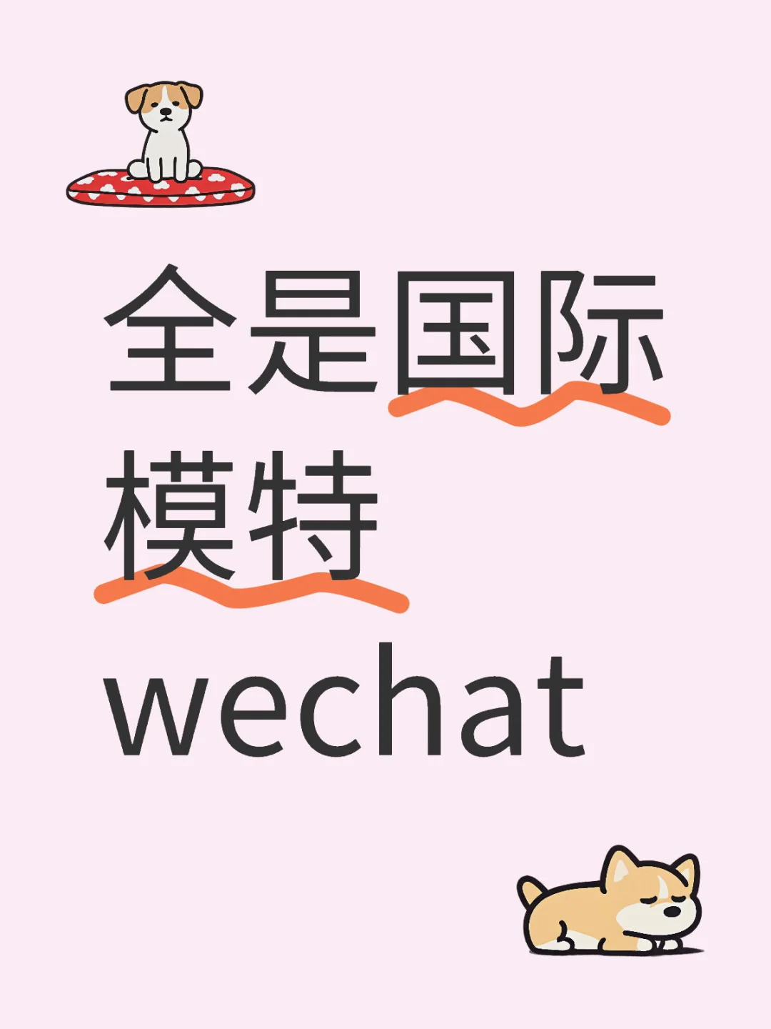 经纪人的一天