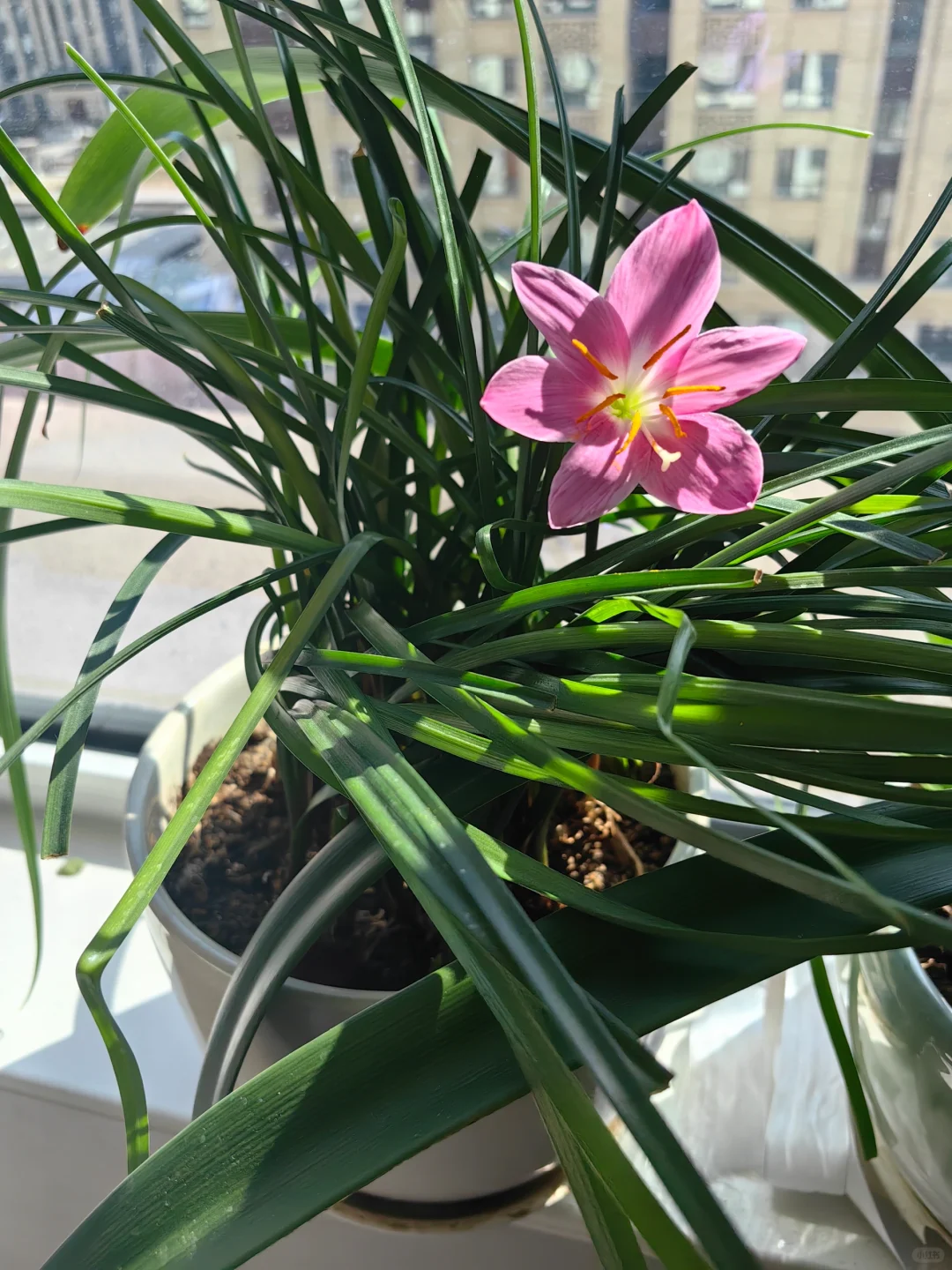 爱在女神节