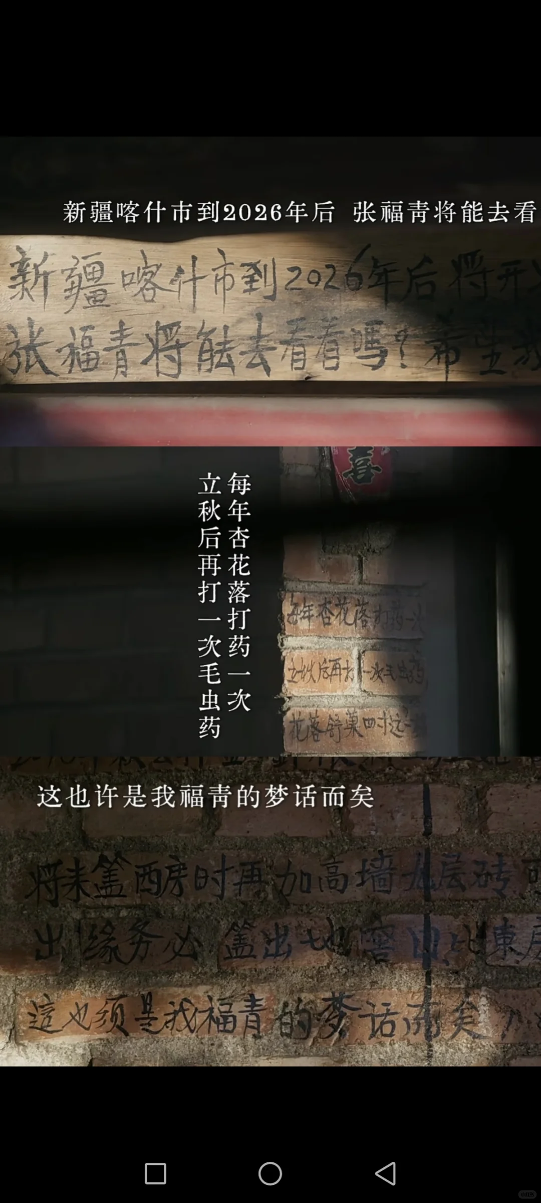 我生命中的女贵人（一）