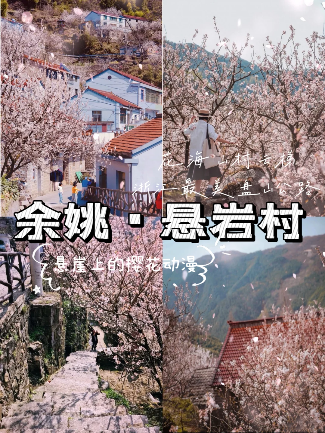 上海出发｜3.16 四明山深处 悬岩村樱花烂漫