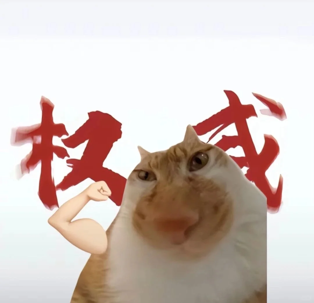 热门猫meme｜我真得好好调教你了