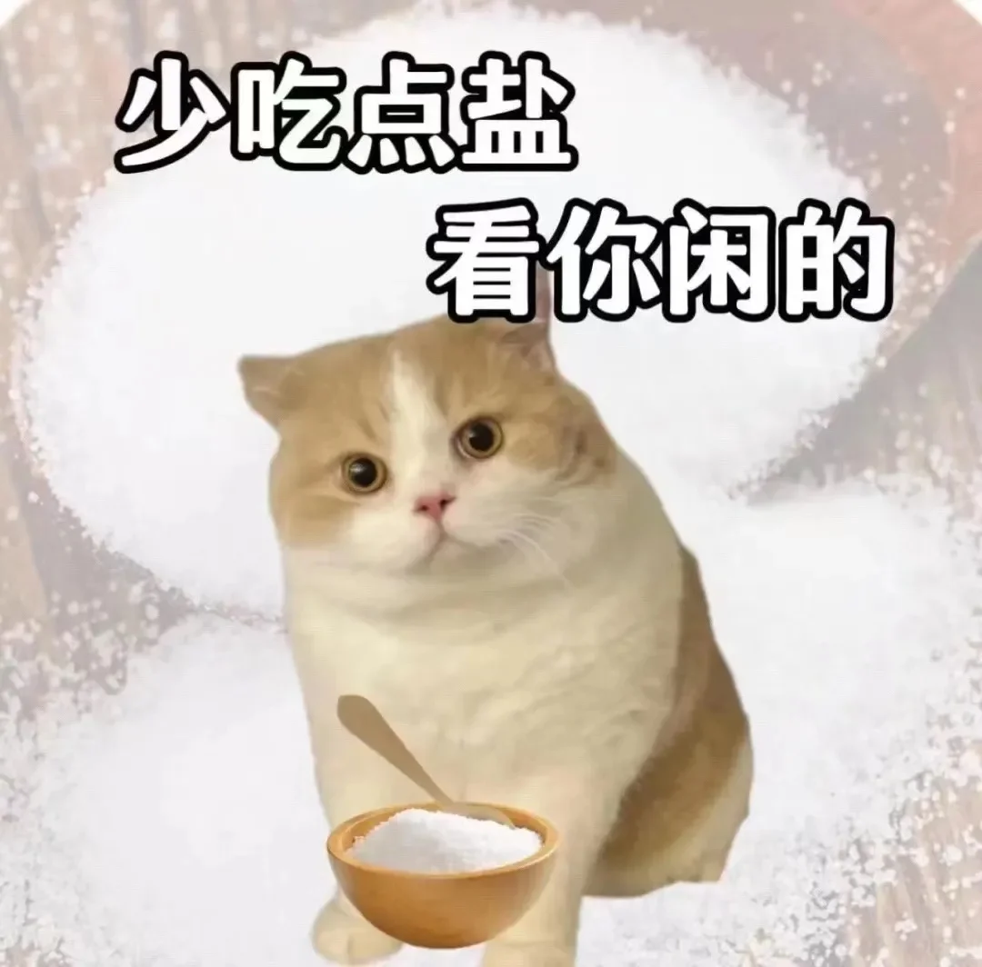 猫猫表情包 你的钱看着好眼熟