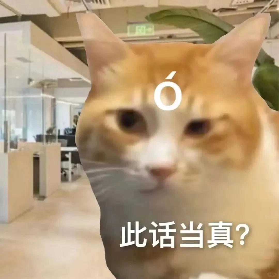 猫猫表情包 你的钱看着好眼熟