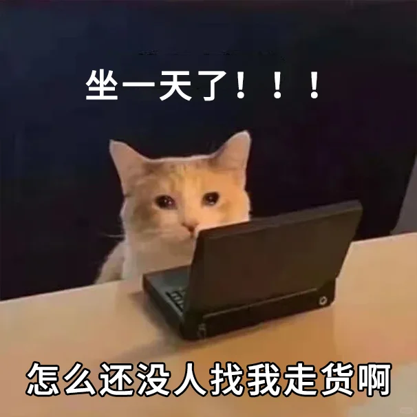 货代销售专属猫猫表情包！