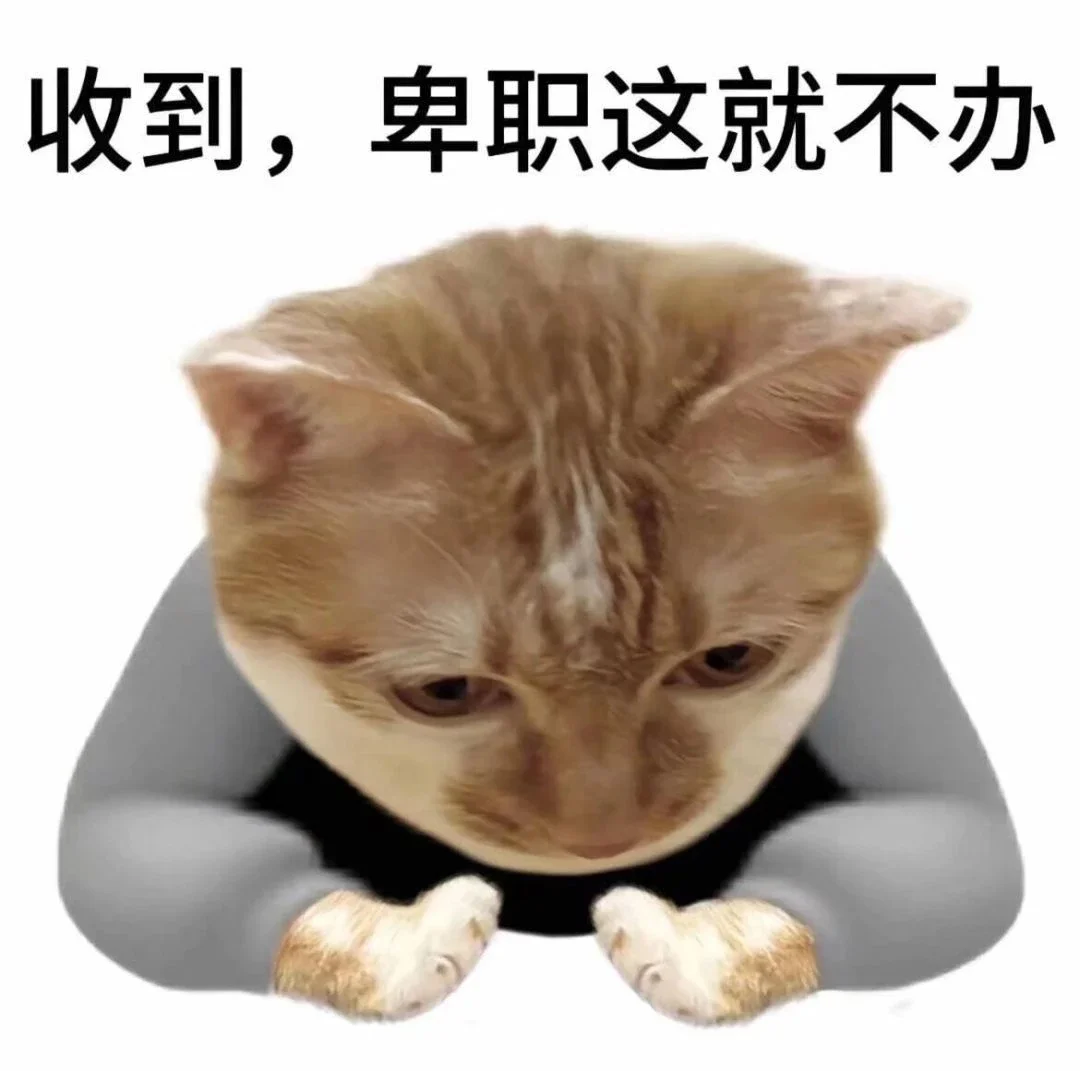 热门猫meme｜我真得好好调教你了