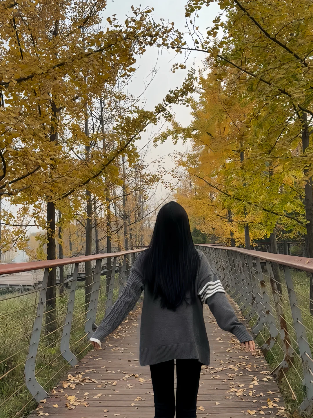 抓住秋天的尾巴🍂