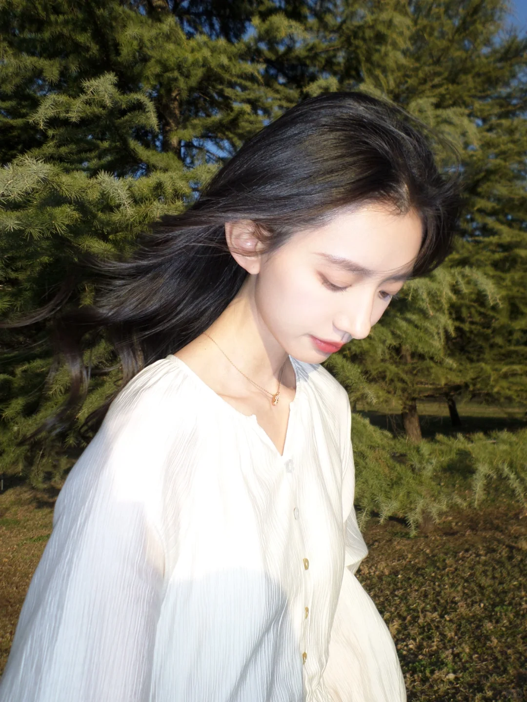 那天我听人说 思念像风