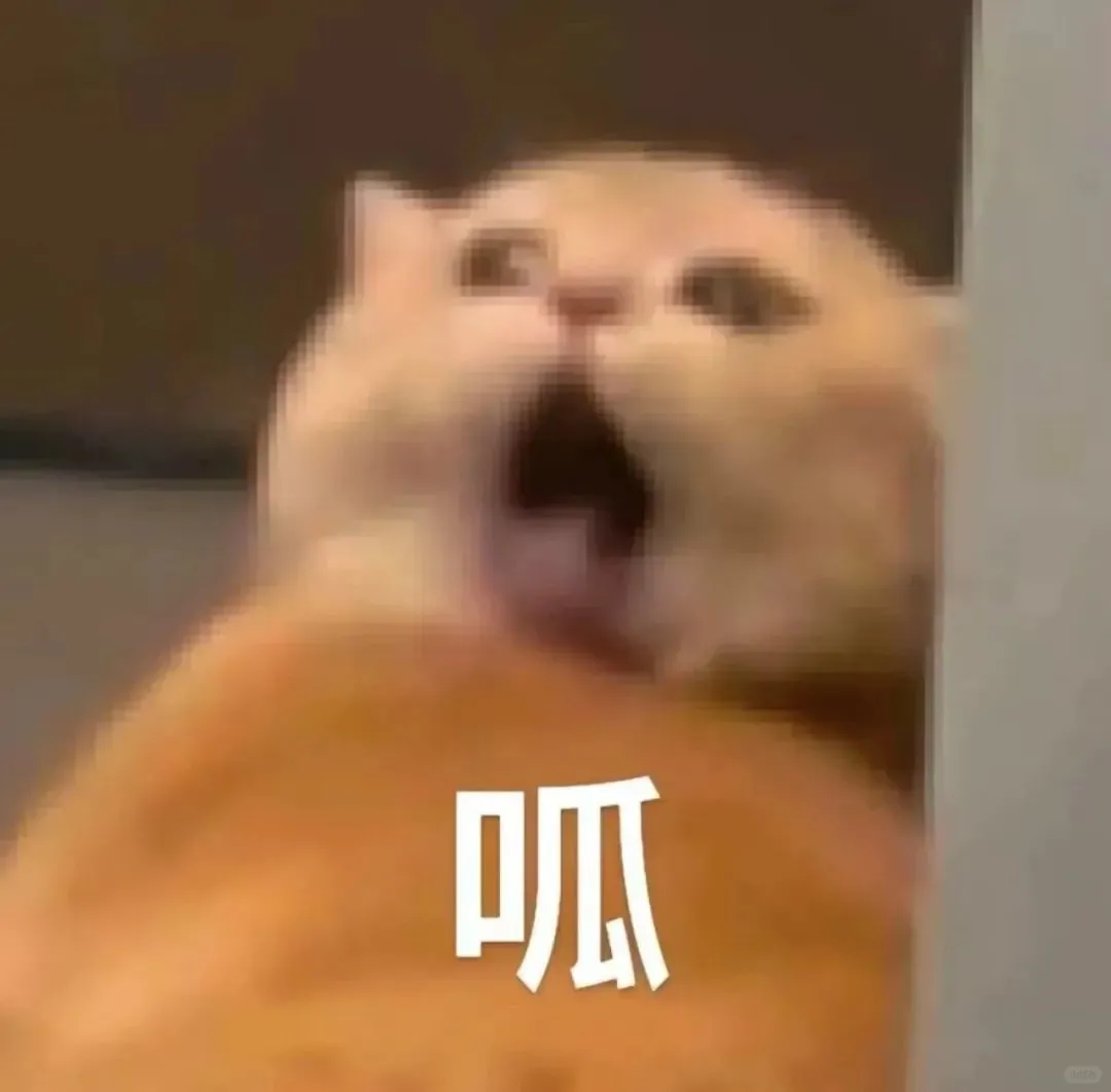 热门猫meme｜我真得好好调教你了