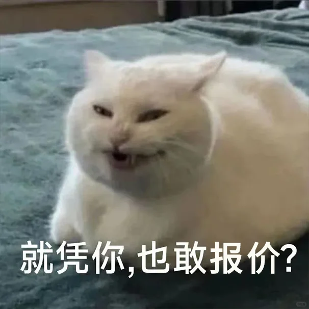 货代销售专属猫猫表情包！