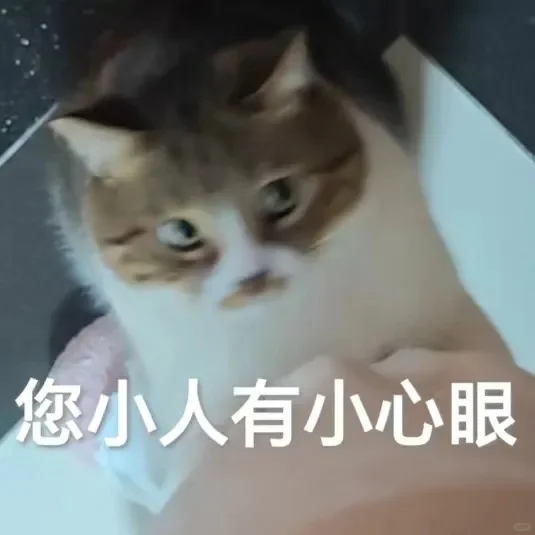 猫猫表情包 你的钱看着好眼熟