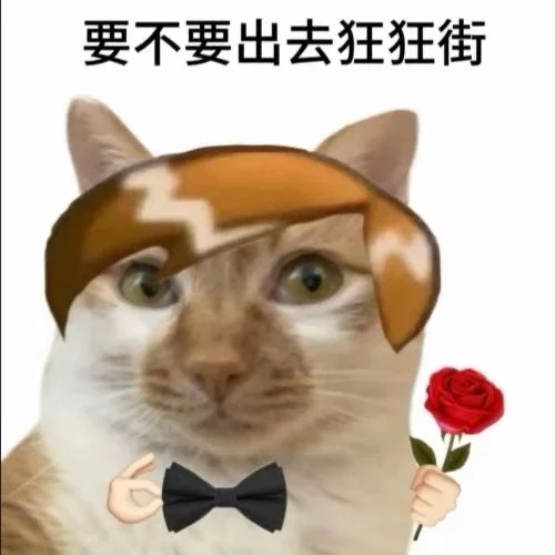 热门猫meme｜我真得好好调教你了