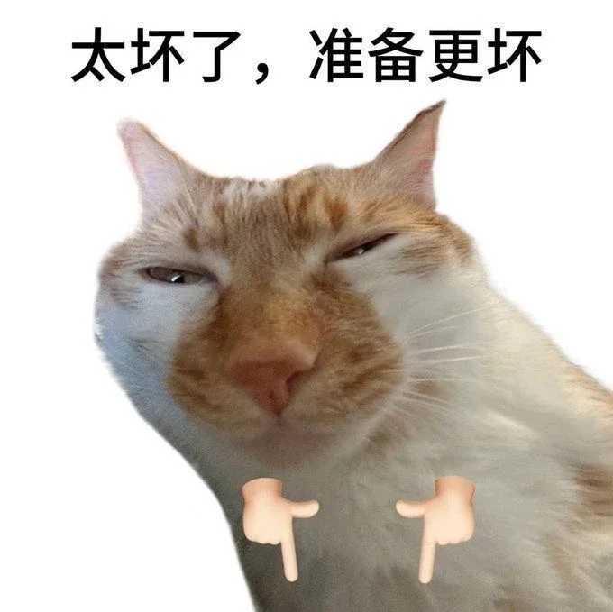 热门猫meme｜我真得好好调教你了