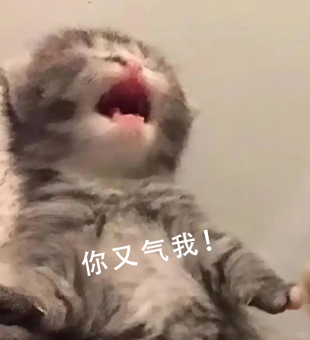 聊天必备｜猫咪表情包