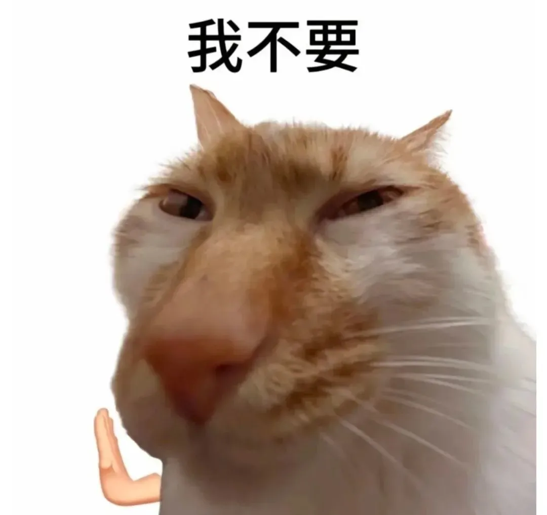 热门猫meme｜我真得好好调教你了