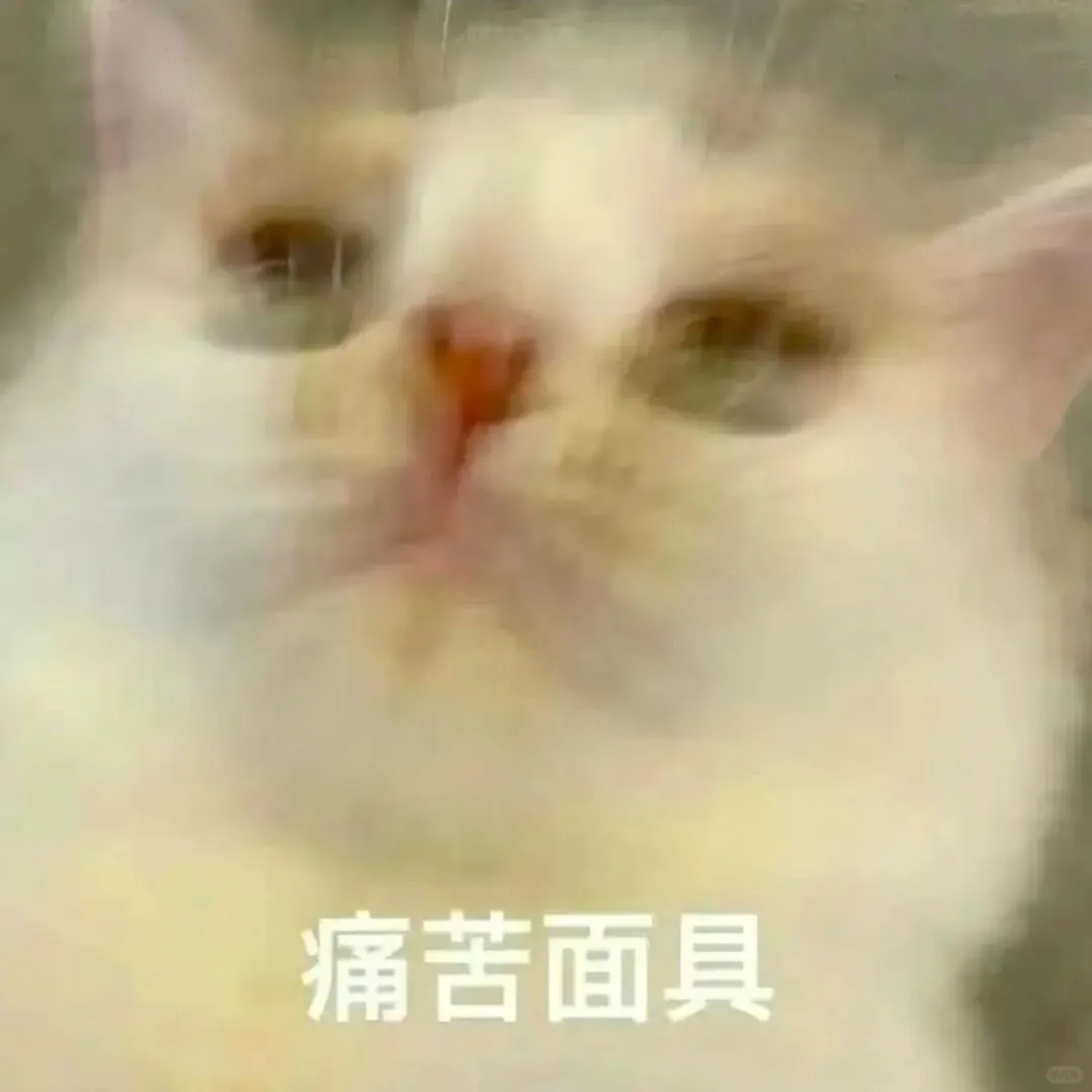 可爱猫咪表情包