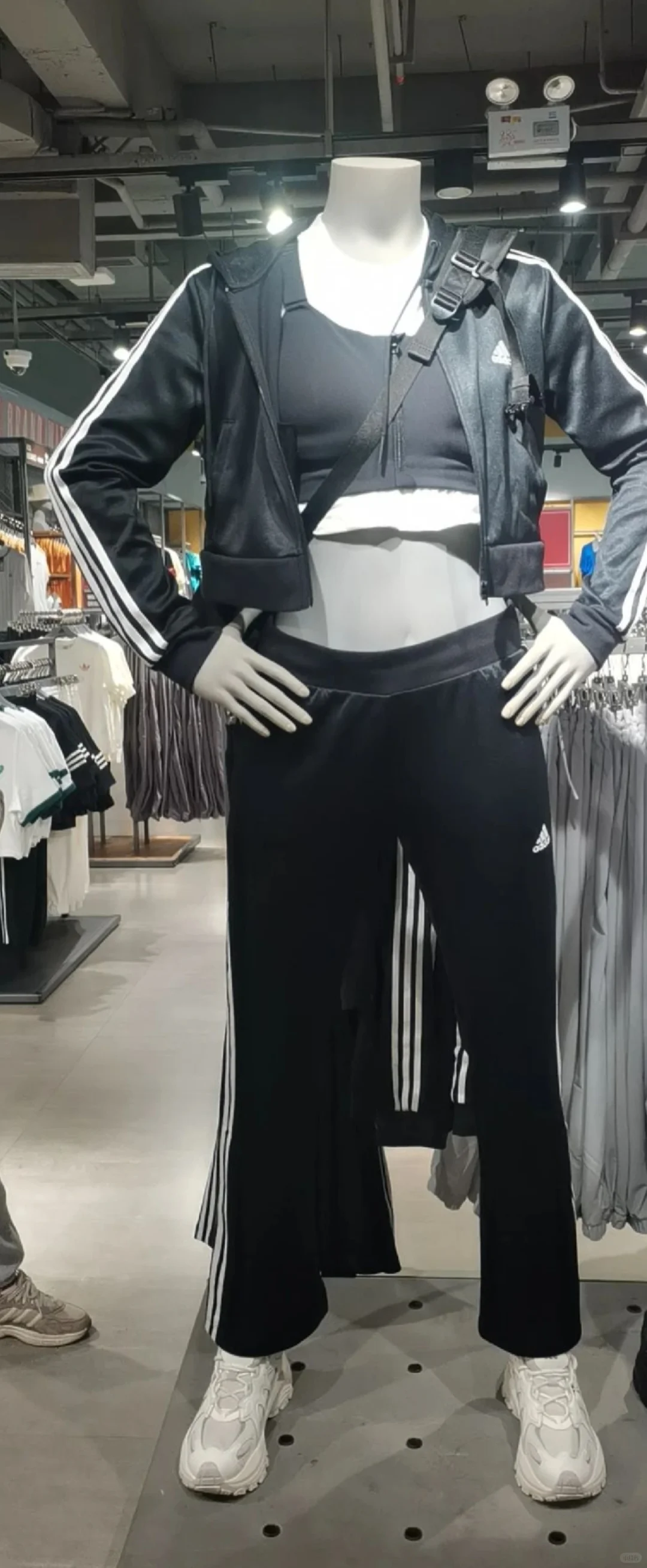 Adidas经典女士运动套装，一套折后293