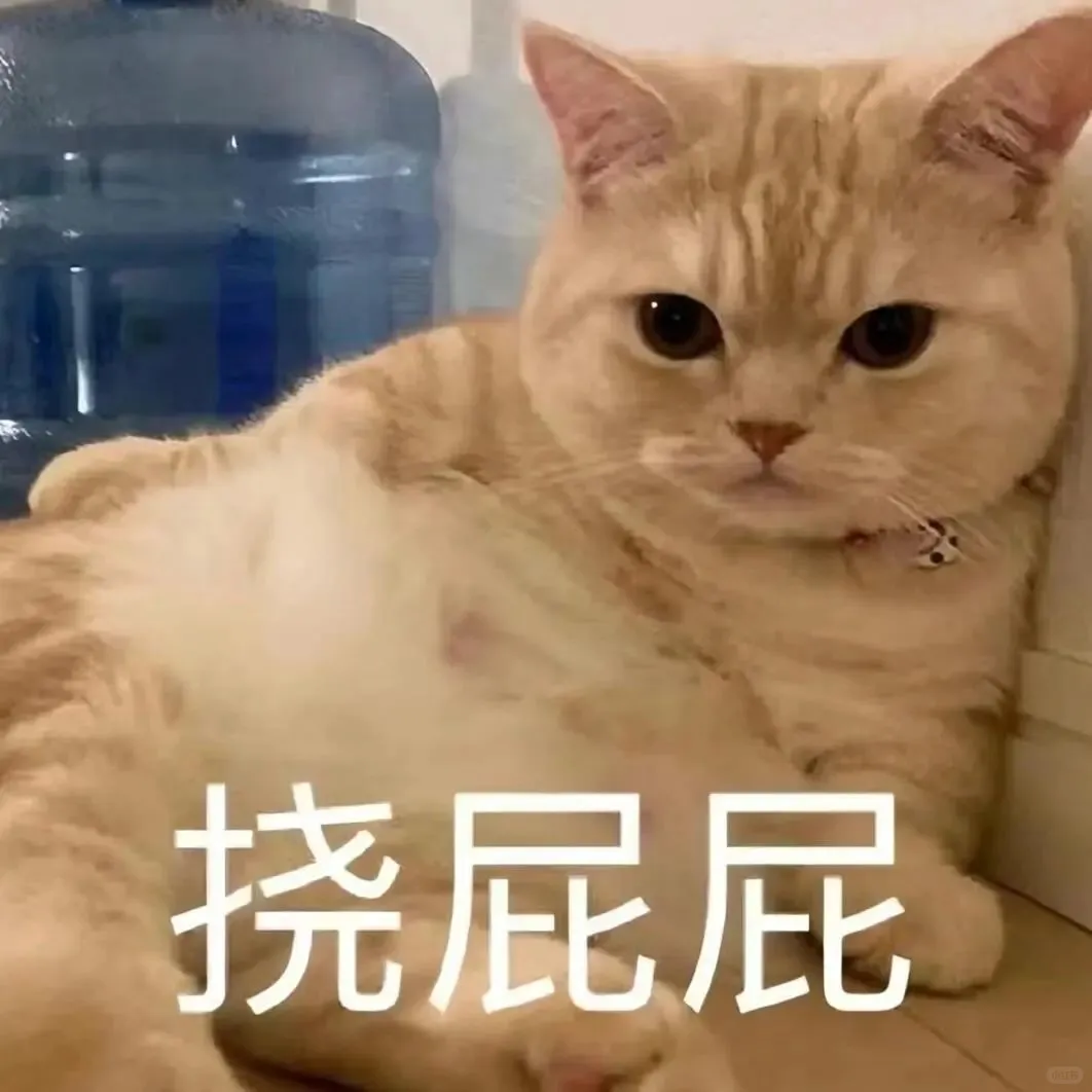 可爱猫咪表情包