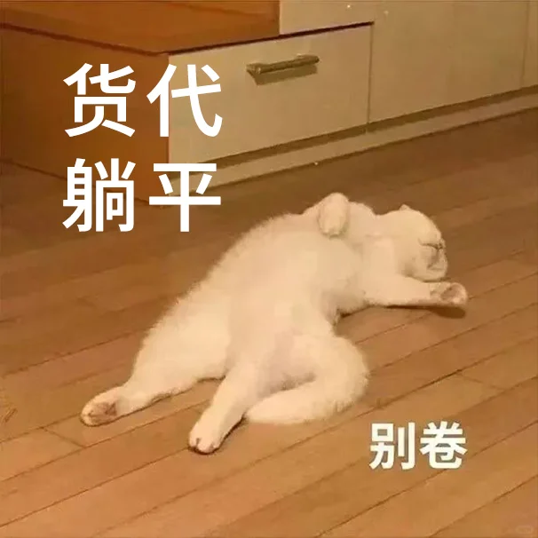 货代销售专属猫猫表情包！