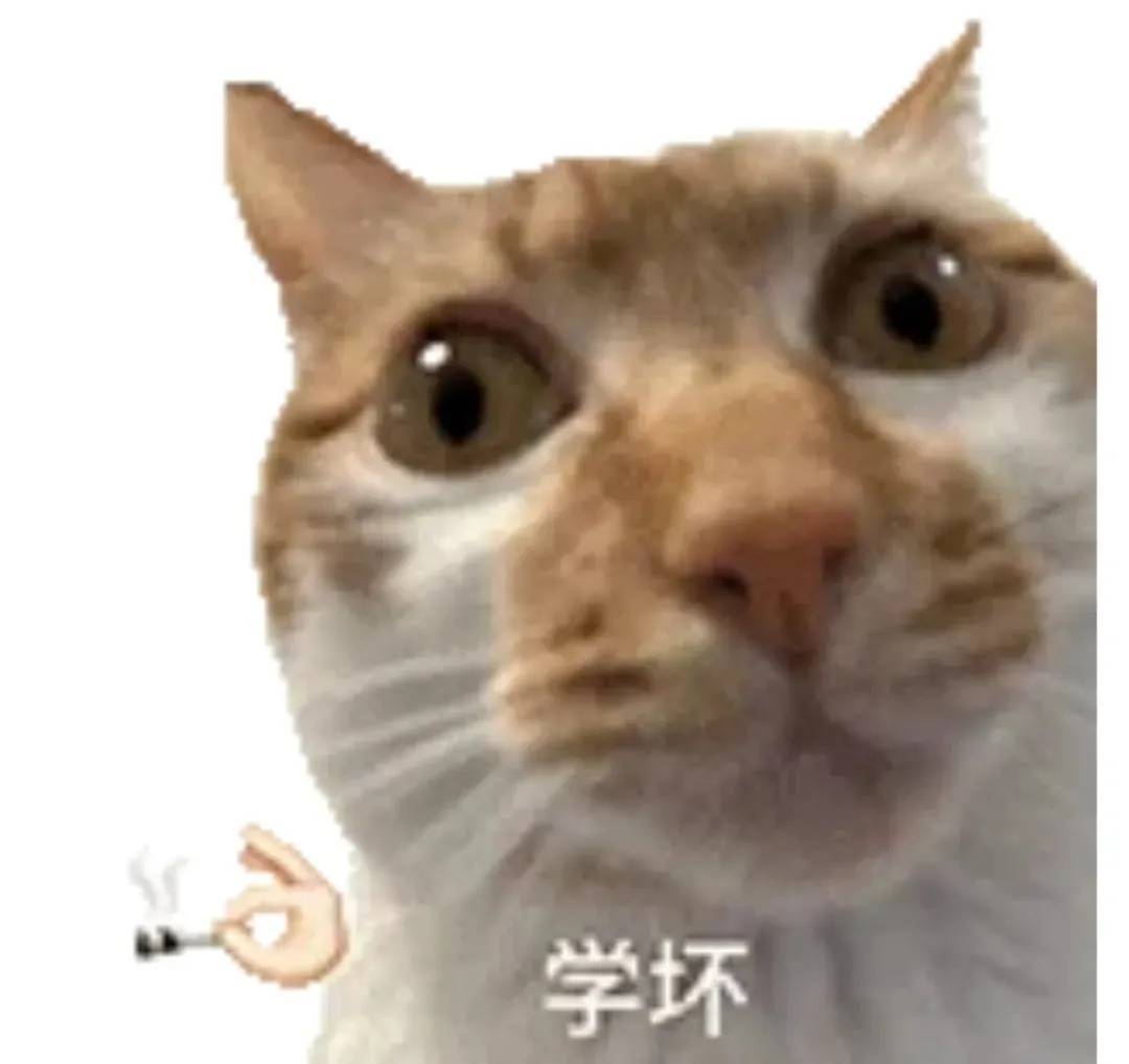 热门猫meme｜我真得好好调教你了