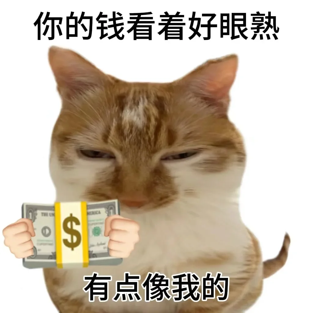 猫猫表情包 你的钱看着好眼熟