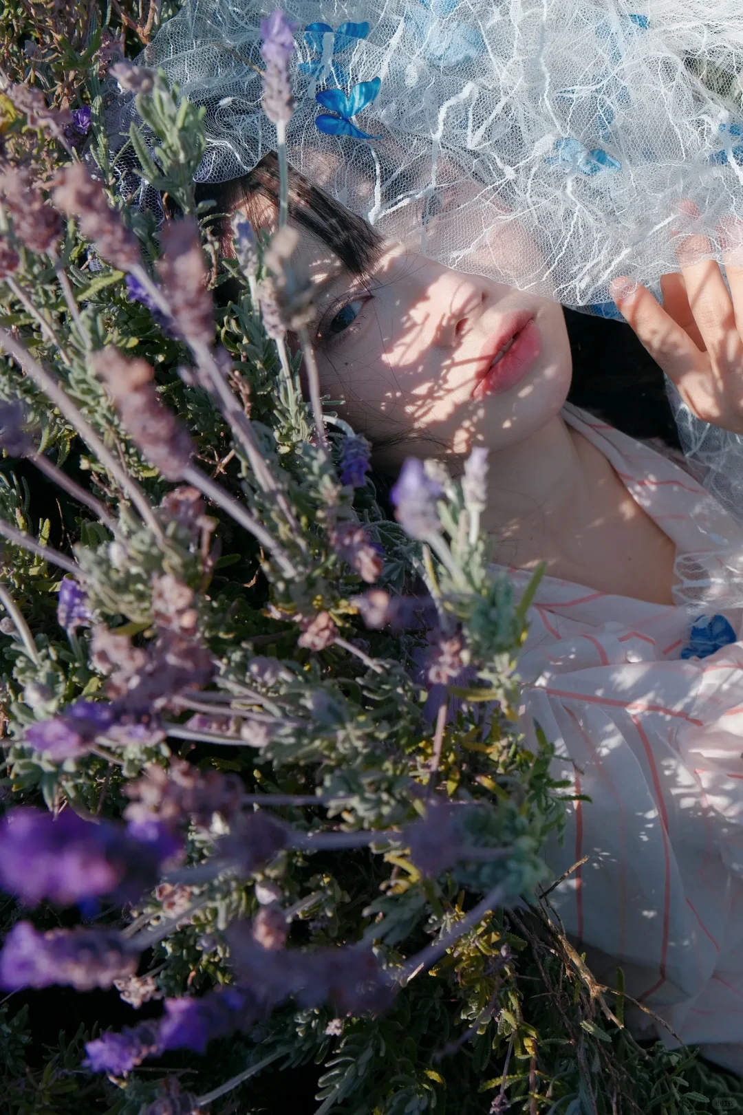 审美累积｜闯入春日花境✨邂逅浪漫少女写真