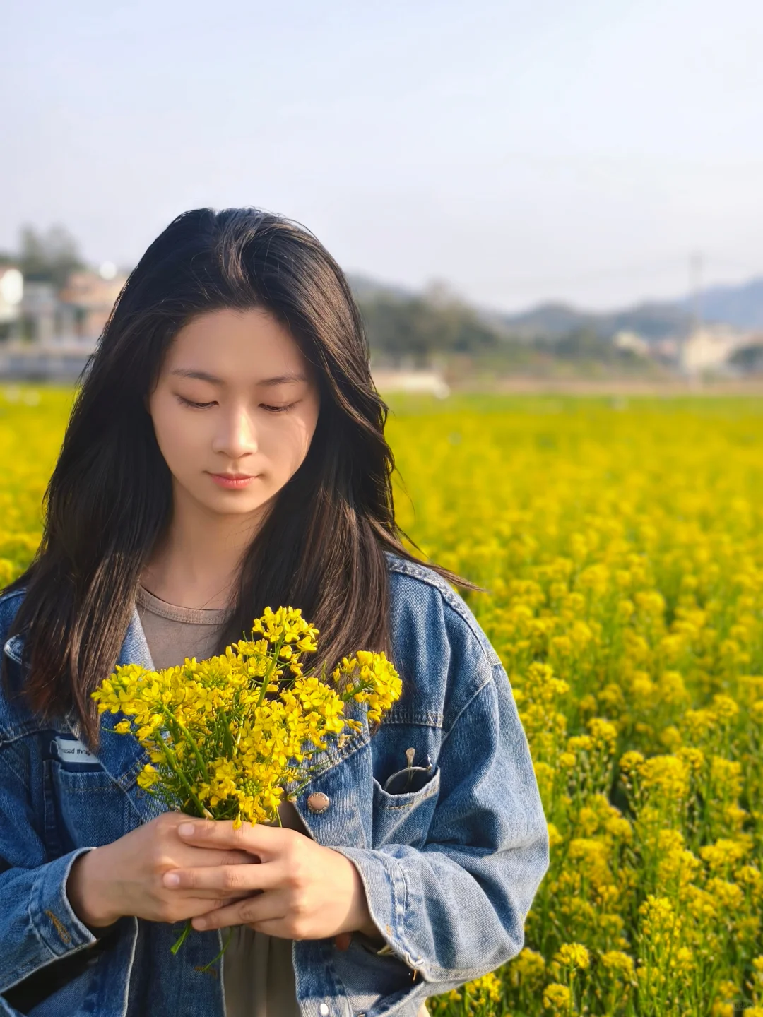 再不去拍?油菜花就没啦