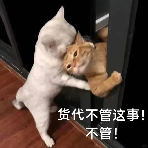 货代销售专属猫猫表情包！