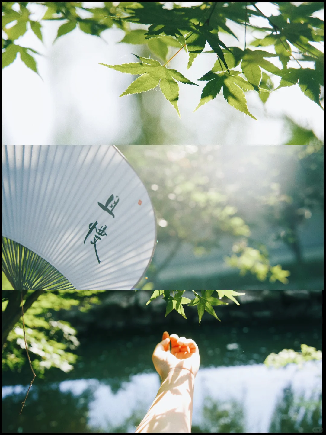 让我涨粉4千+的九图