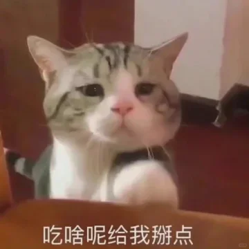 猫me表情包|我踏马吃吃吃