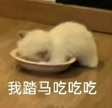 猫me表情包|我踏马吃吃吃