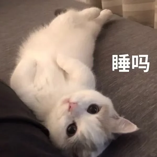 猫me表情包|我踏马吃吃吃