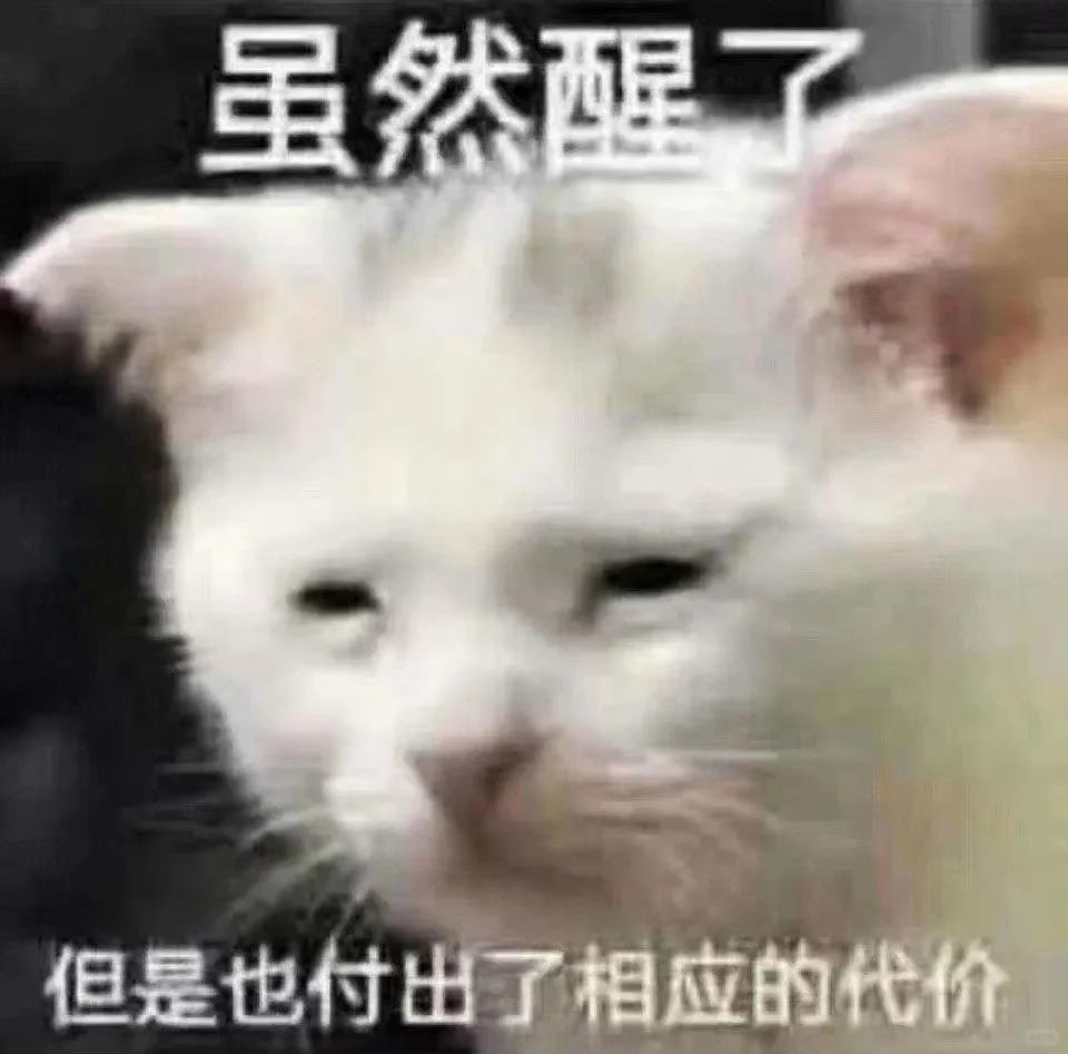 超可爱又正经的猫猫表情包哦～