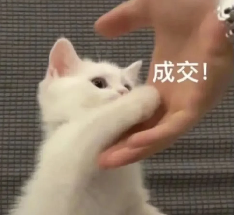 猫me表情包|我踏马吃吃吃