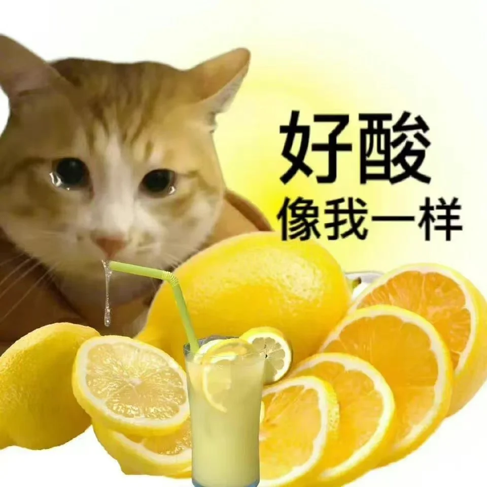 超可爱又正经的猫猫表情包哦～