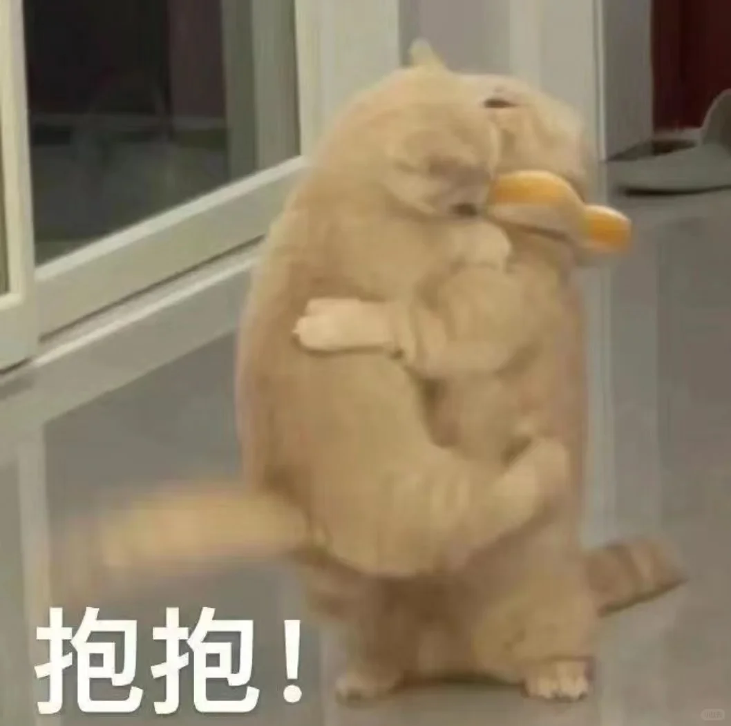 猫me表情包|我踏马吃吃吃