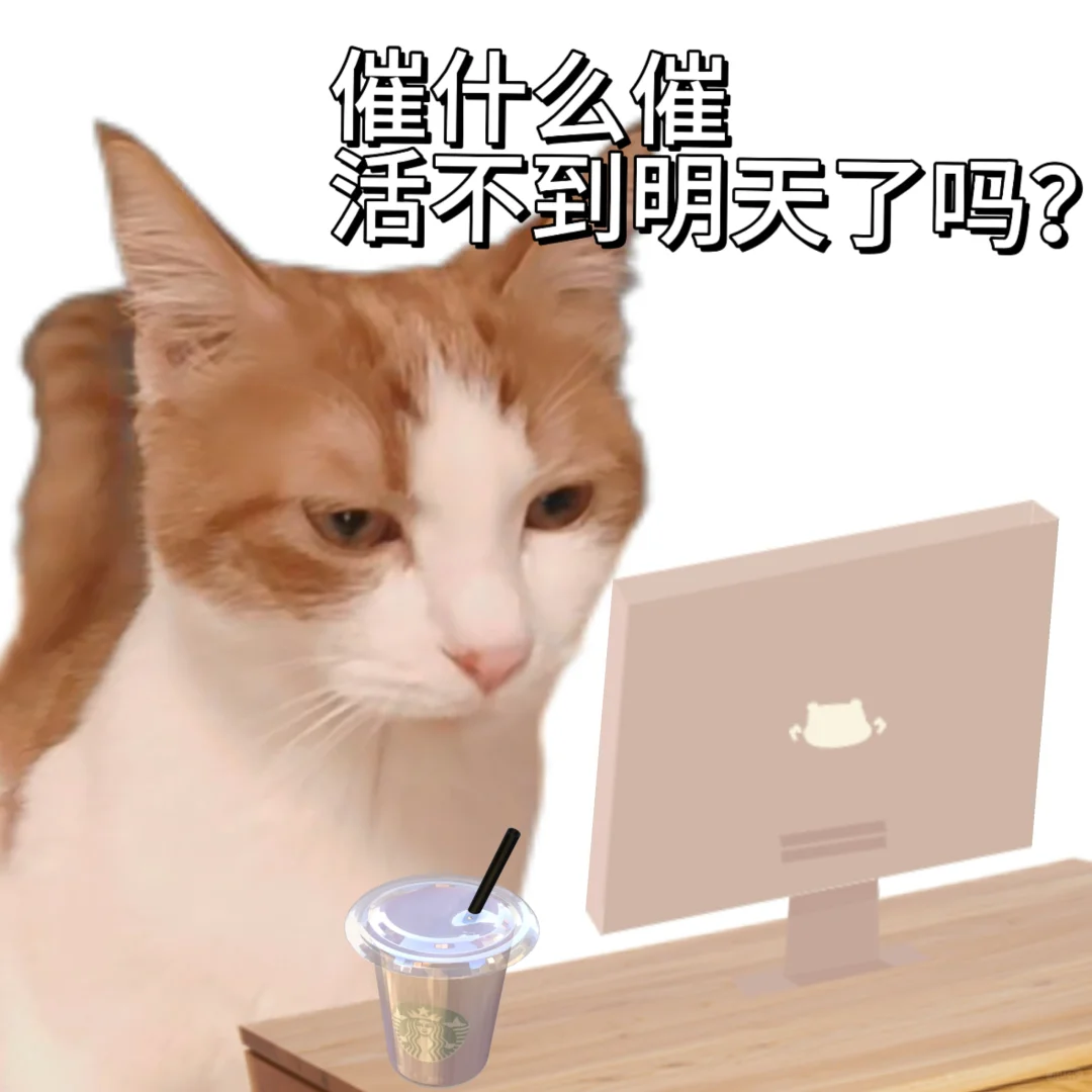 超实用的猫猫表情包｜我稍微讲两句