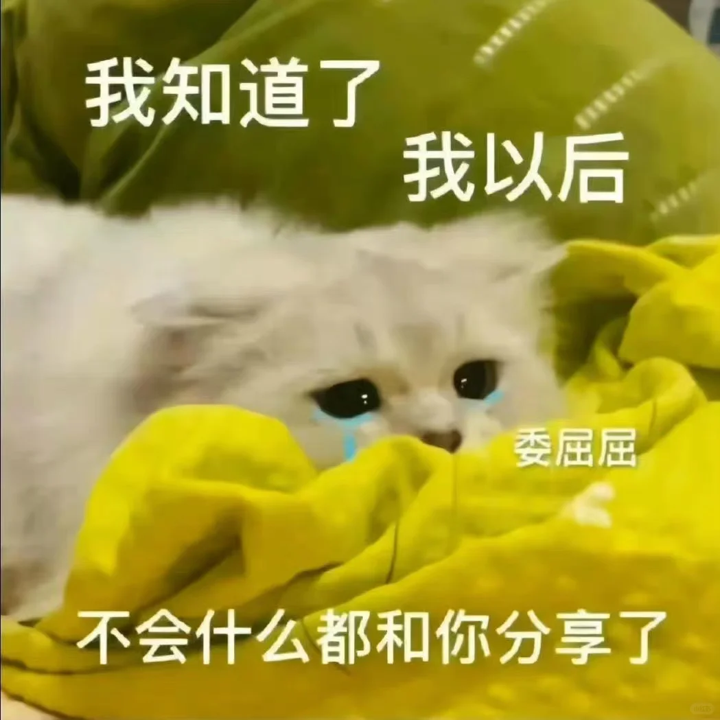 超可爱又正经的猫猫表情包哦～