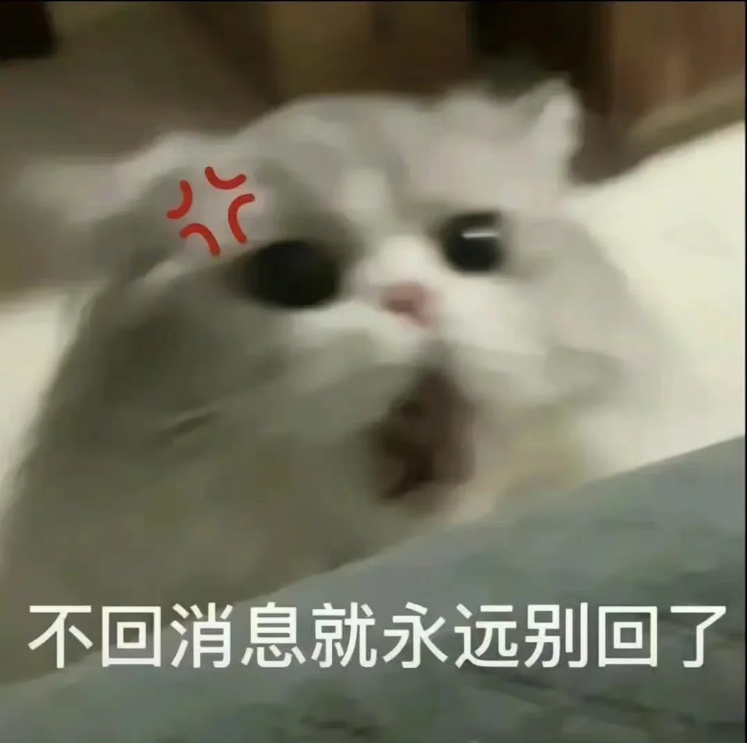 超可爱又正经的猫猫表情包哦～