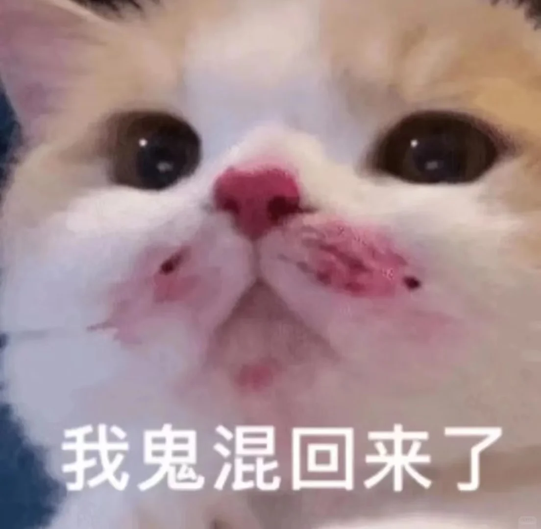 猫me表情包|我踏马吃吃吃