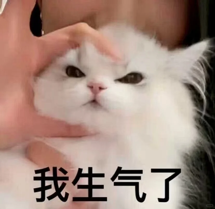 超可爱又正经的猫猫表情包哦～