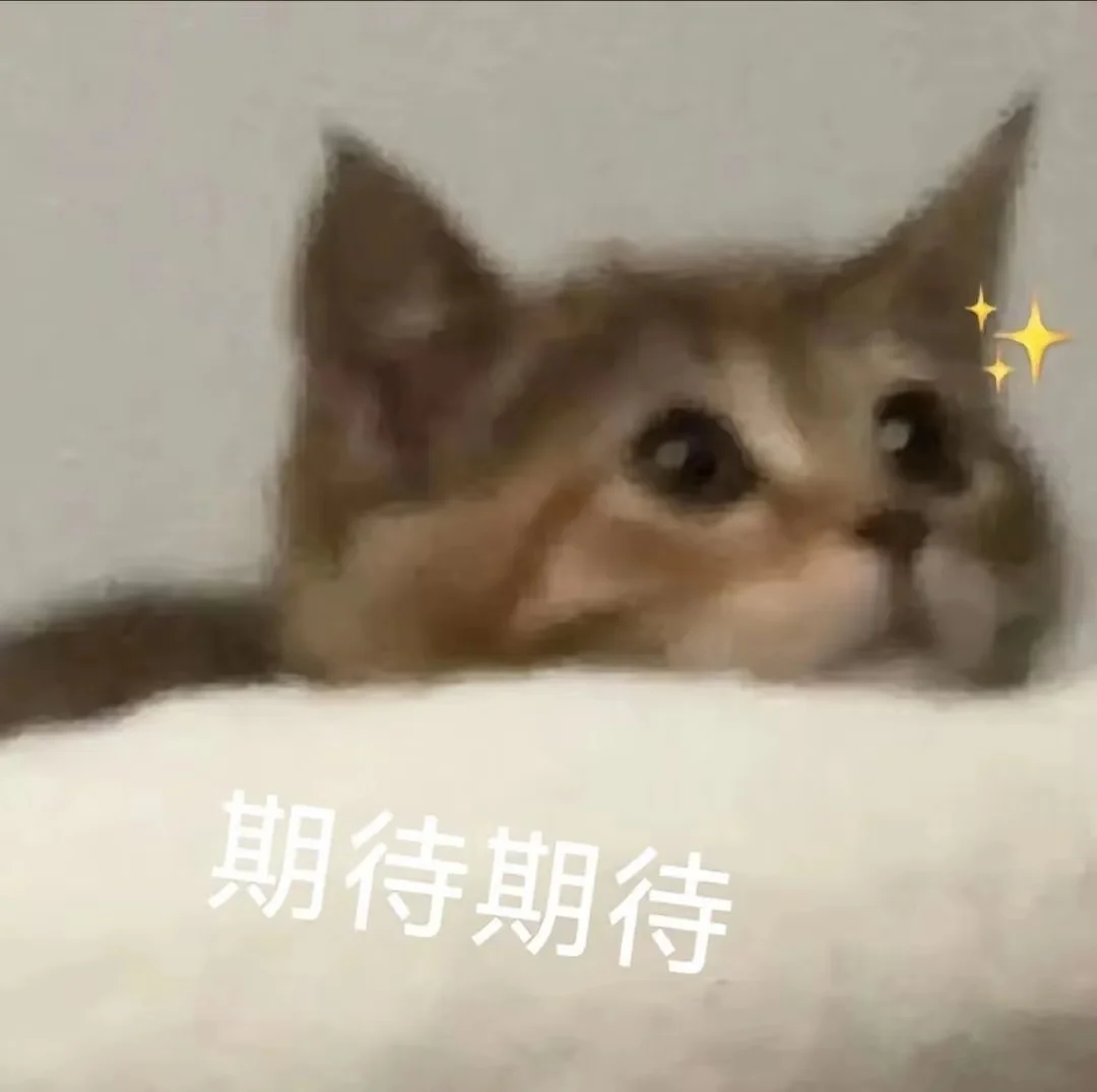 猫me表情包|我踏马吃吃吃