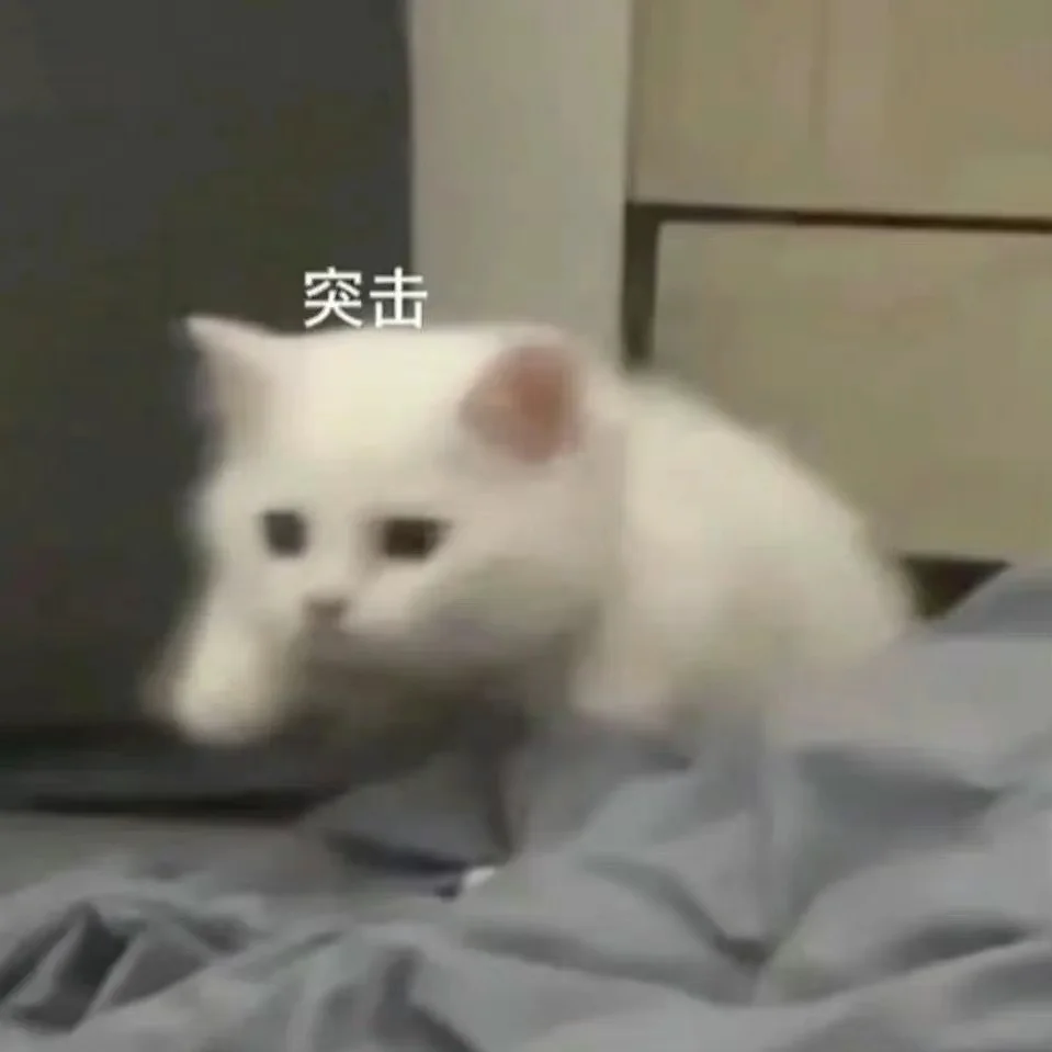 猫me表情包|我踏马吃吃吃