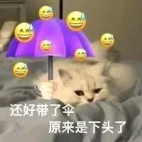 超可爱又正经的猫猫表情包哦～