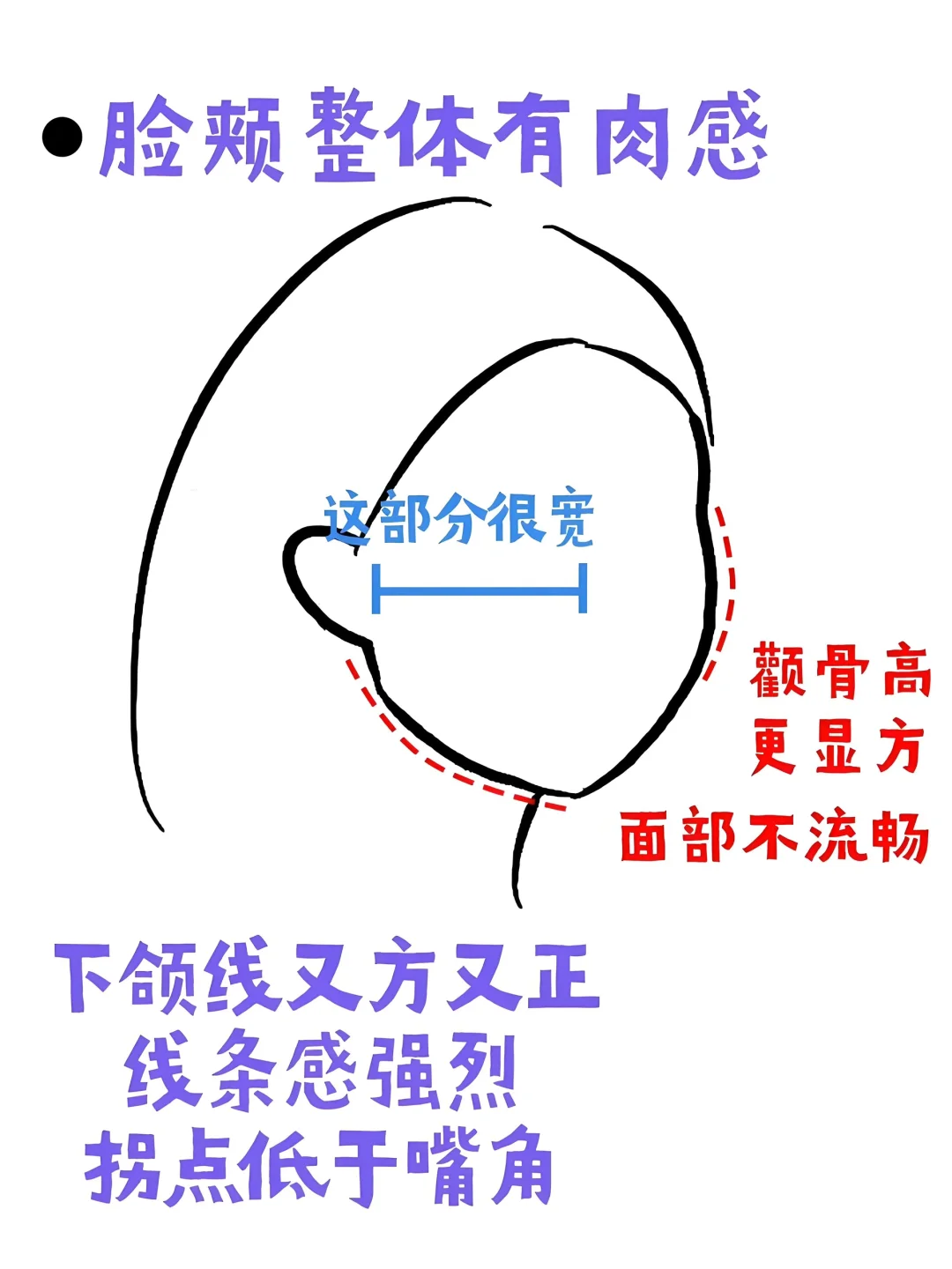 领悟到了！方圆脸微调变美原则！