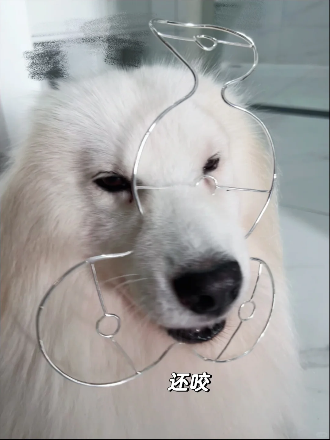 艺术生的作品模特是修勾🐶