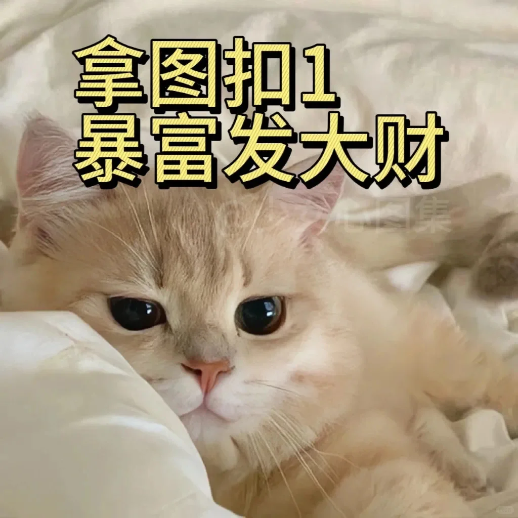 WeChat女头｜铁了心的幸福，姐铁了心
