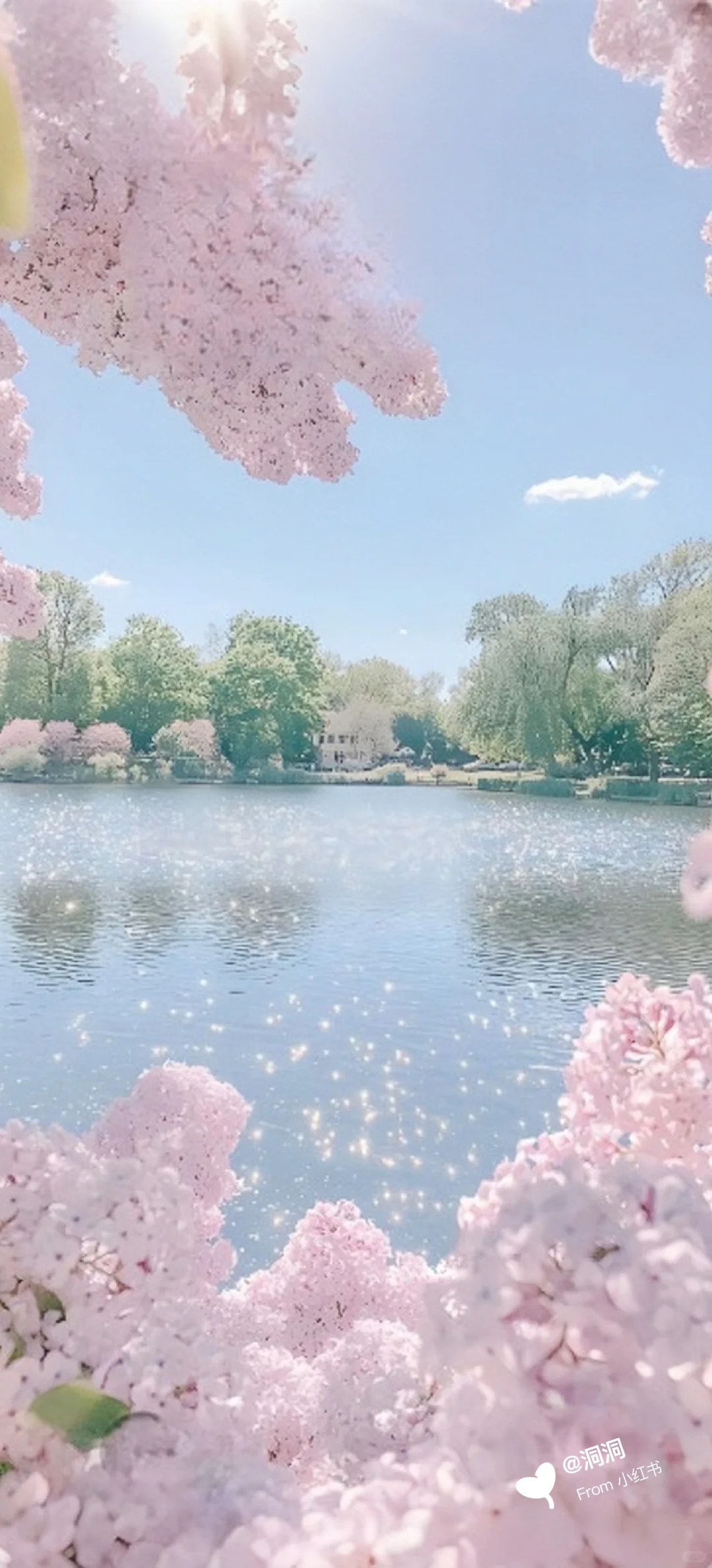 微风拂过，湖水与花都在悄悄心动