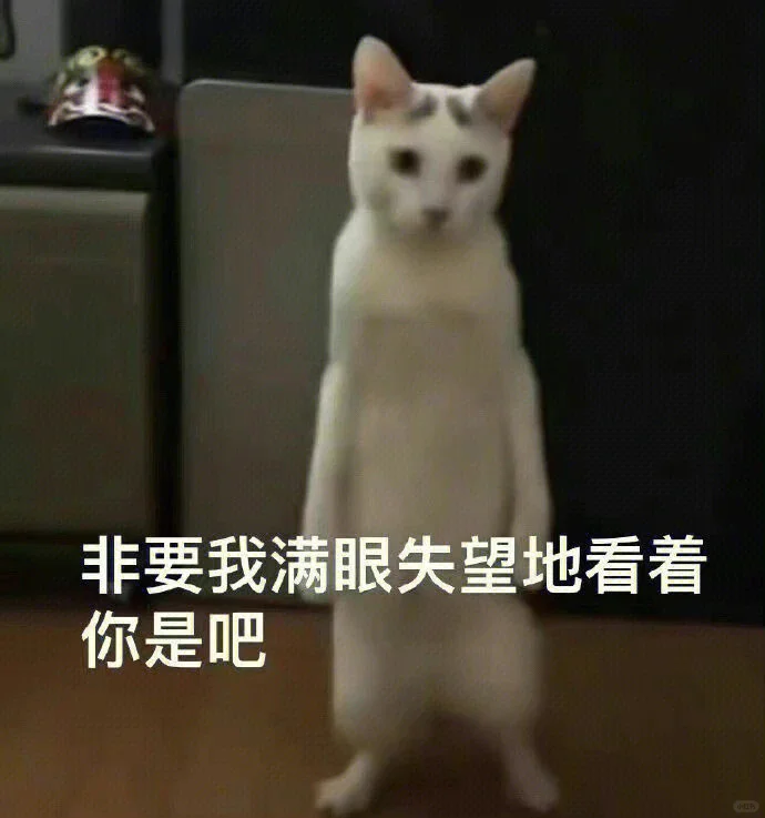 闲鱼，我请问呢