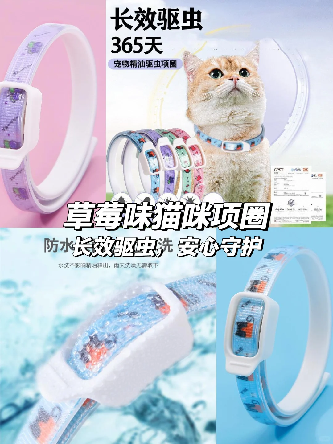 这脖圈简直是行走的驱虫结界