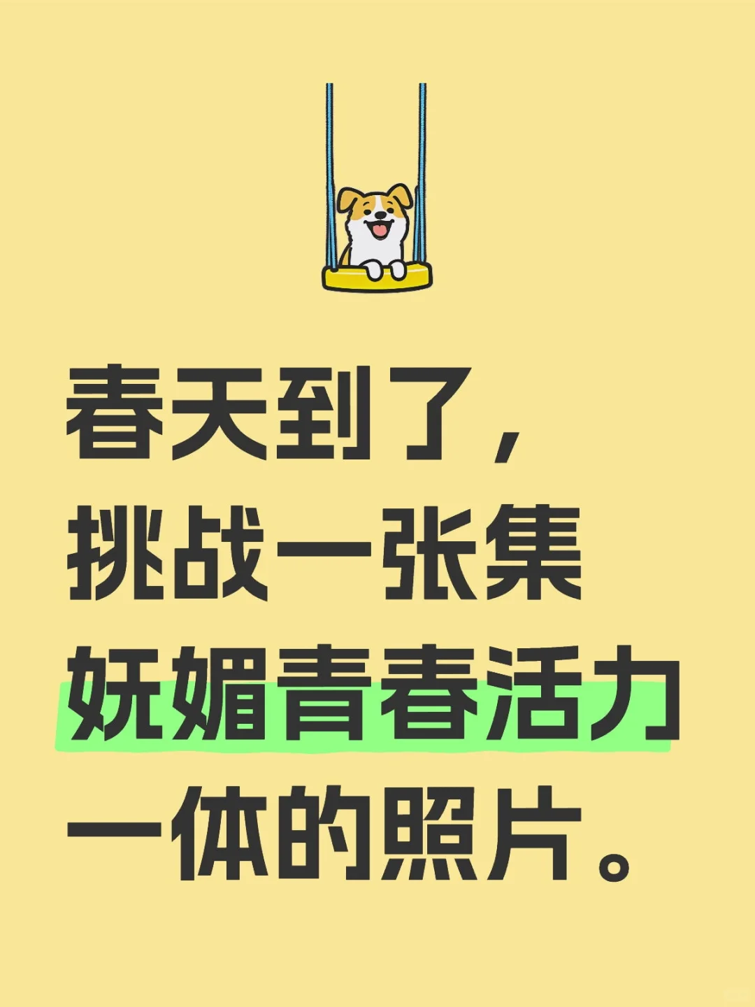 春天来了，花儿开了